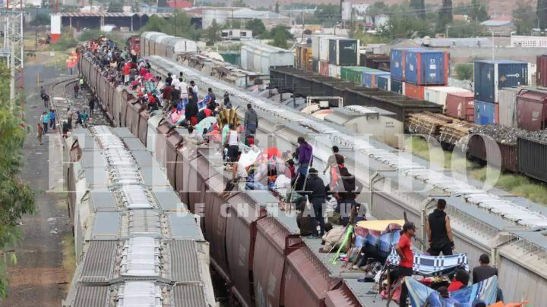 migrantes trenes cuu